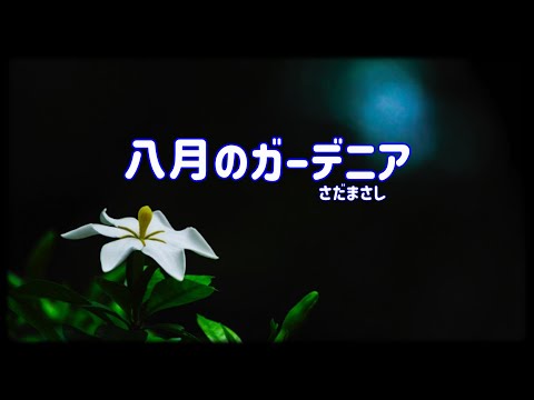 さだまさし  八月のガーデニア