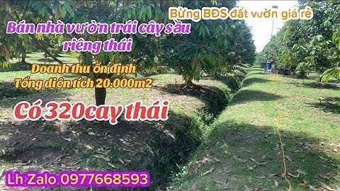 Cần chuyển nhượng lại mảnh đất nhà vườn trái cây sầu riêng thái doanh thu ổn định có thổ cư 