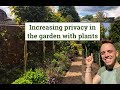 How to increase privacy in the garden with plants