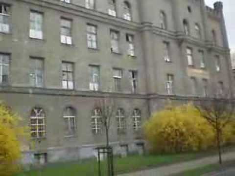 фото чехия курживоды онлайн