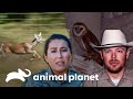 Guardianes llamados al rescate de animales | Guardianes de Texas | Animal Planet