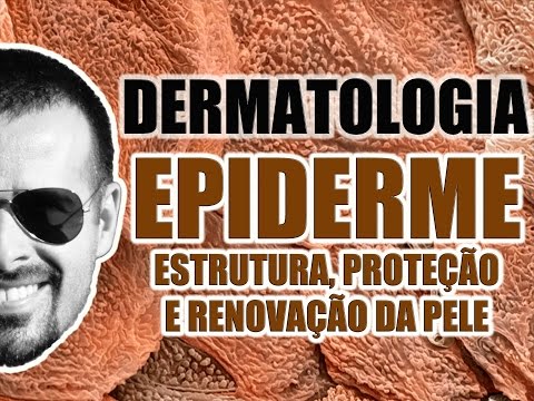 Anatomia da Pele - EPIDERME: Estrutura, proteção e pigmentação - Sistema Tegumentar - VideoAula 042