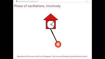 Mathematical modeling of physiological systems: Synchronization (Part 4)