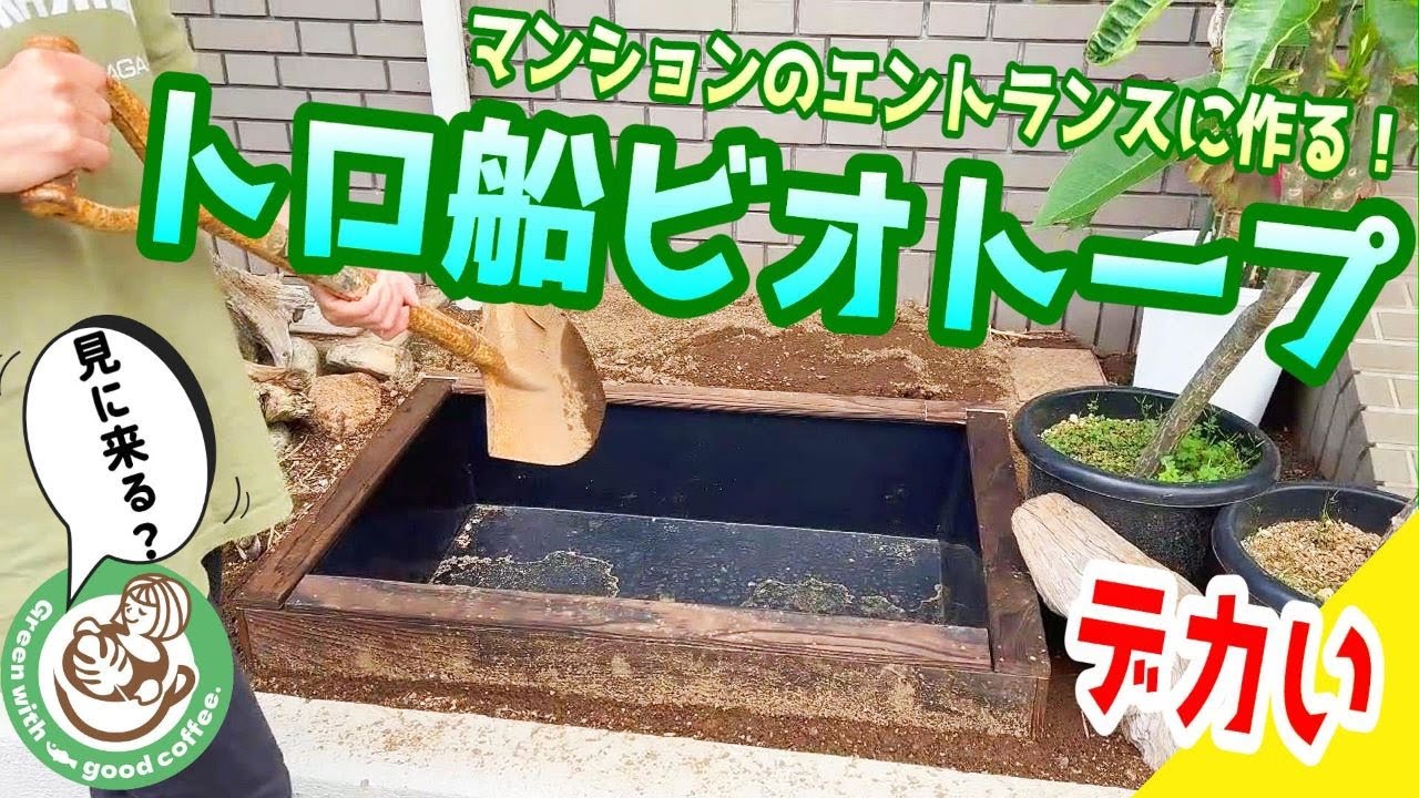 めだか】巨大なトロ船ビオトープをマンションの入り口に作ろう