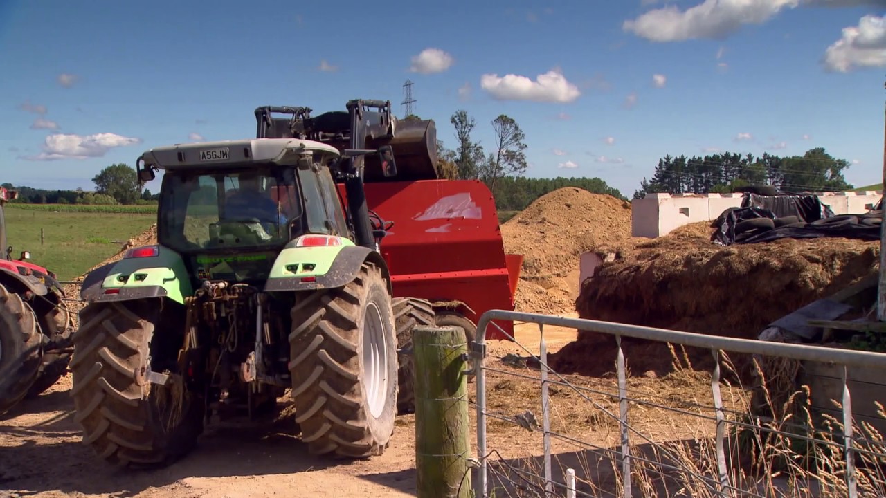 Weal's Robotic Milking System