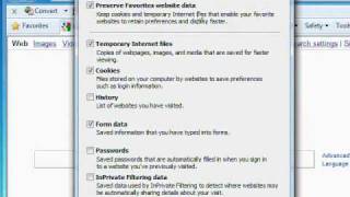 How to Delete IE 8 Cache & Browser History