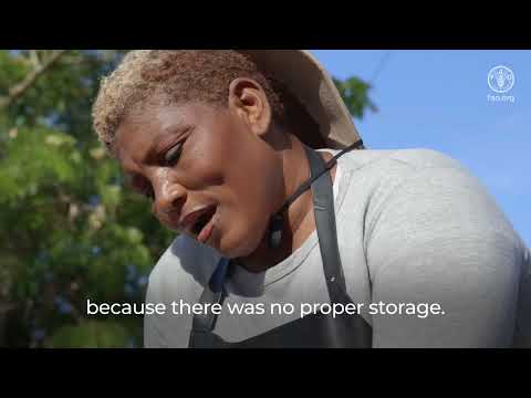 Dominican Republic &ndash; Unlocking dorado's great potential