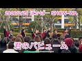 2026/2/24 ぽかぱー 君のパヒューム SHOW-WA