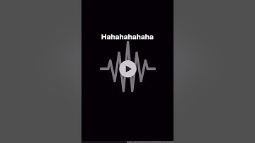 Lunchbox - New Snippet (Unreleased)