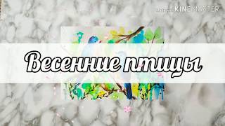 11. Весенние птицы