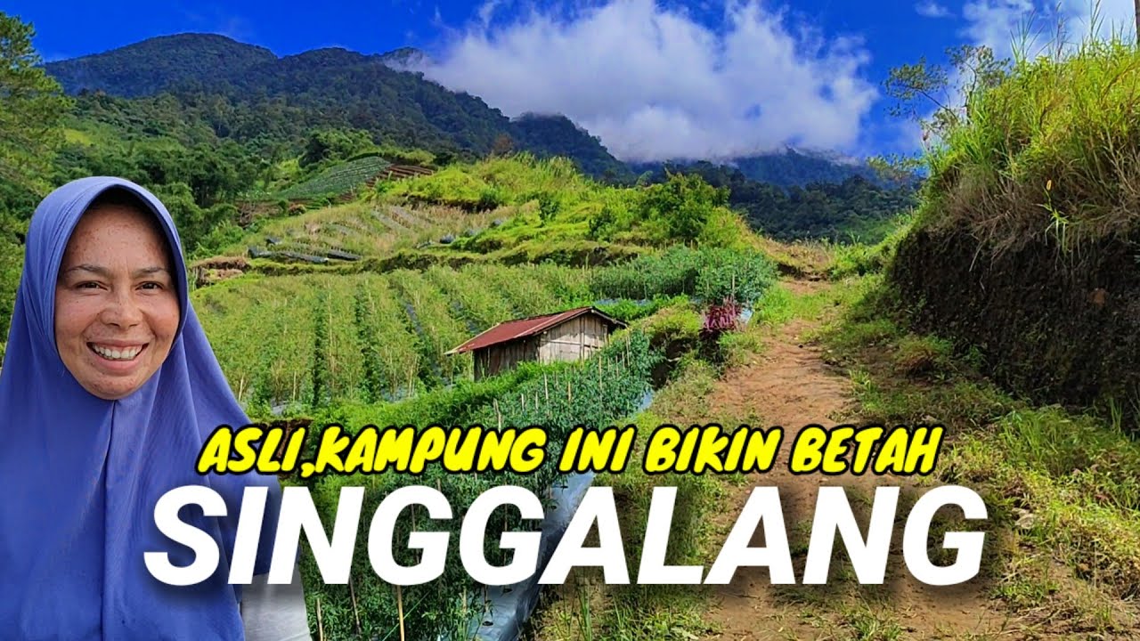 Perjalanan Menuju Puncak Sikadunduang Nagari Singgalang Kabupaten Tanah Datar Sumatra Barat