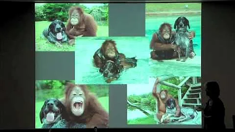 Neuroscience: How Does the Brain Represent the Outside World?