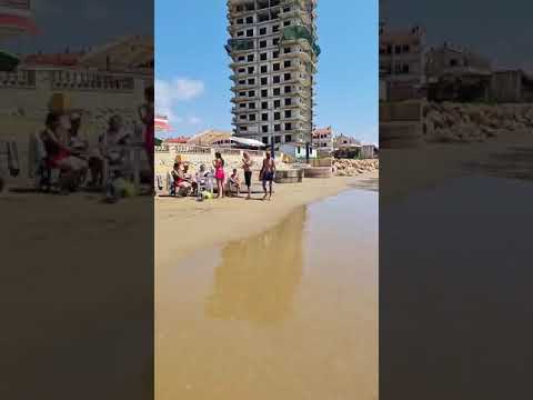 عروس البحر طرطوس