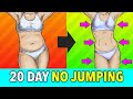 20-Day Full Body No Jumping Fat Burn Workout Program