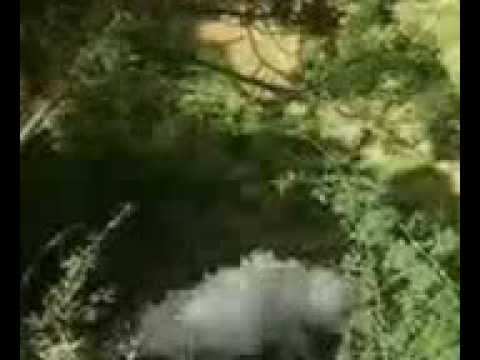 جبار الفريجي قصيده رائعه 2014