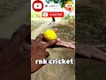 yorker Bowling Grips and tips#cricket#cricketlover#cricketshorts#trendingshorts#shorts