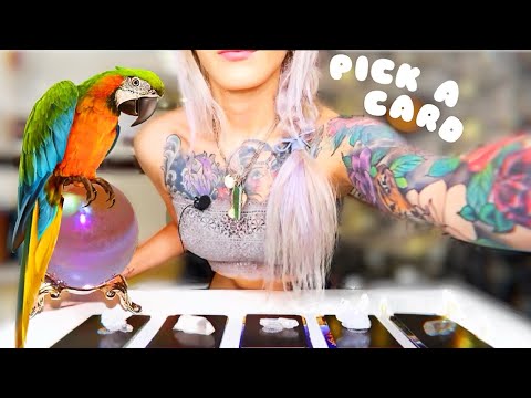 reveal-your-guardian-spirit-animal🗝pick-a-card🐾