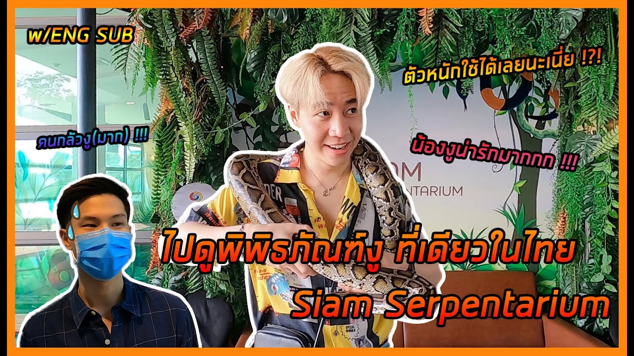 Vloging at Bangkok snake museum (Siam Serpentarium) | MixMawin X BigInspirez