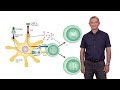 Ruslan Medzhitov (Yale / HHMI): The Role of Toll-Like Receptors in the Control of Adaptive Immunity