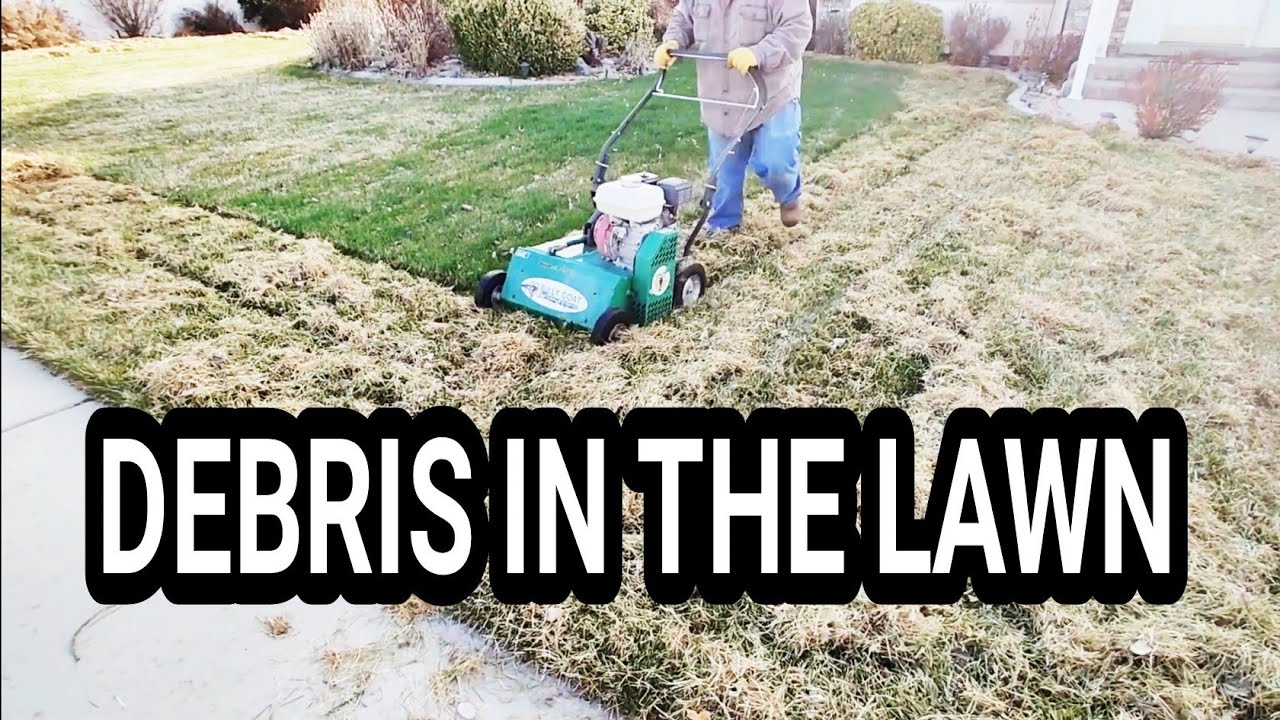 Power Rake!!! Tons of debris in this Lawn. Before and after. YouTube