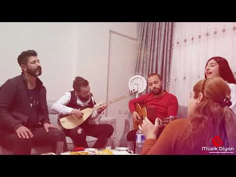 Aynur Polat - Gule (Akustik Cover 2021)