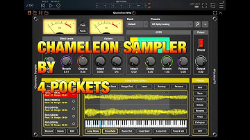 Chameleon AUv3 Sampler by 4Pockets - On SALE for a Limited Time - Demo for the iPad