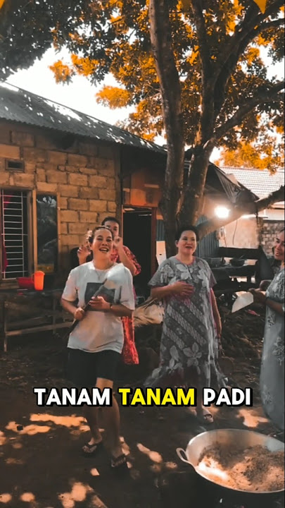 misramolai - tanam tanam padi di ladang #coversong #song #singer #minang #lagu #sumbar #padang