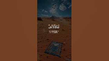 عبد الباسط عبد الصمد تلاوة خاشعة حالات واتس اب قرآن كريم