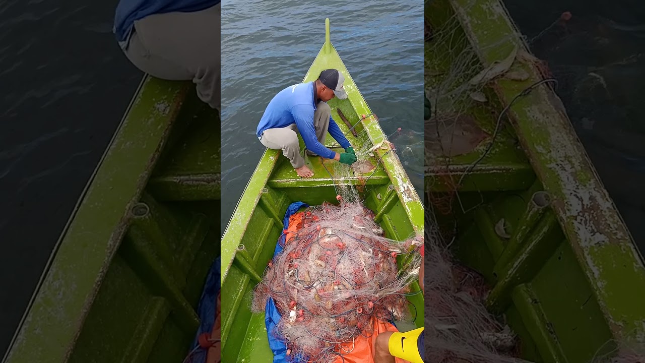 Menjaring udang di laut sematan pada hari bulan 25/1/2020
