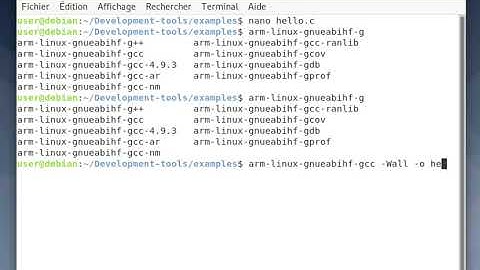 EMBEDDED LINUX ARM 32 : CROSS-COMPILING "HELLO WORLD" with DEBIAN 10 installed on VIRTUALBOX for ARM