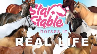 GEN 3 horses in REAL LIFE || JSV Productions