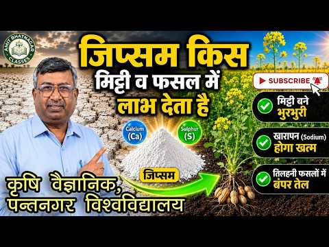 जिप्सम किस मिट्टी व फसल में लाभ देता है