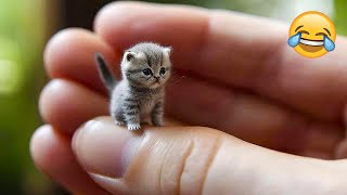 Funny Animal Videos 2023 😹 - Funniest Dogs and Cats Videos 😻 #42