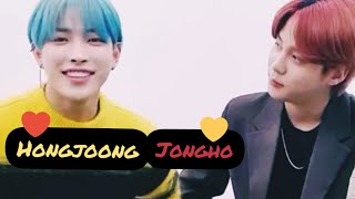 Hongjoong and Jongho Moments 7 - Animals 