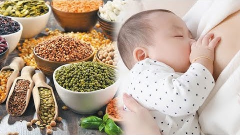 Các Loại Hạt Tốt Nhất Để Kích Sữa | Min Min Lợi Sữa