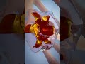 How A Hollow Point Bullet Works рџ How A Hollow Point Bullet Works рџ
