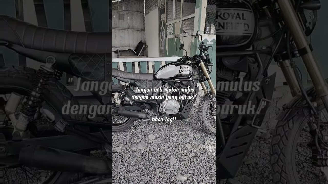 Tiger Custom Scrambler 