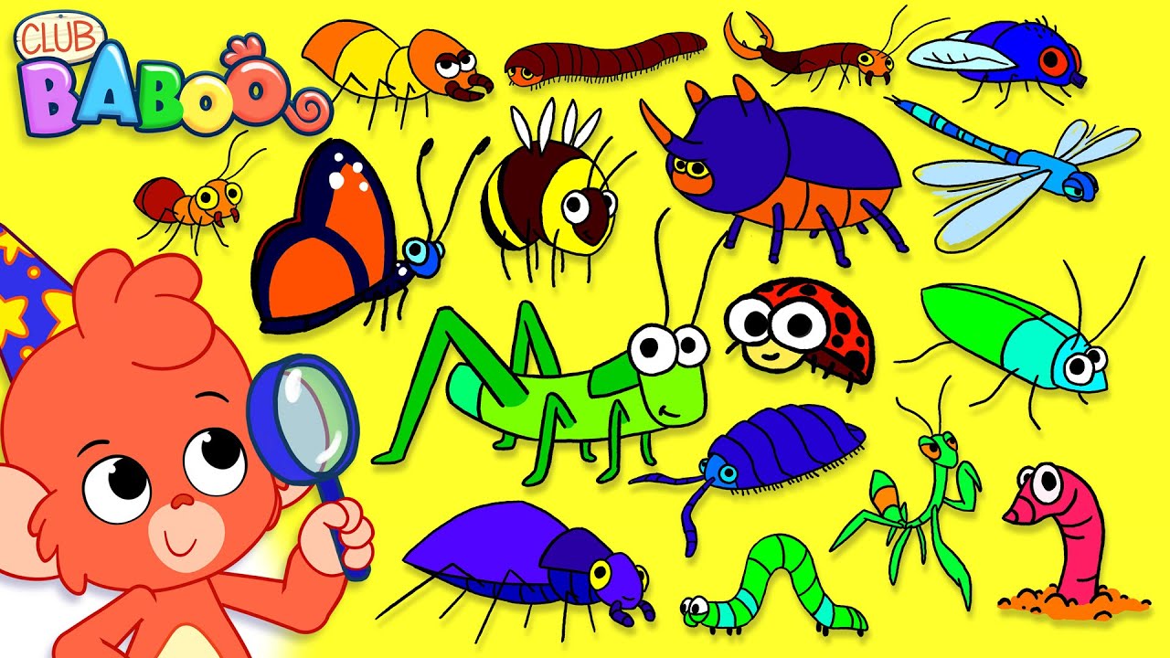 Insects ABC | Animal ABC | Learn the alphabet with Insects and Bugs | Club Baboo