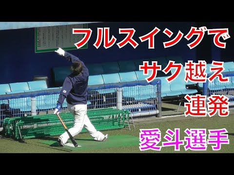 愛斗選手、フルスイングがスゴイ！今年の活躍に期待！【西武ライオンズ春野キャンプ2018】