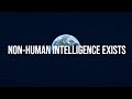 Non-Human Intelligence Exists, There Is Zero Doubt | Col. Karl Nell