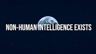 Non-Human Intelligence Exists, There Is Zero Doubt | Col. Karl Nell