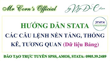 Hướng dẫn STATA | Các câu lệnh nền tảng, Thống kê & Phân tích tương quan trên STATA 03112023