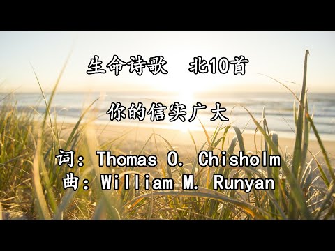 北010 大011 你的信实广大