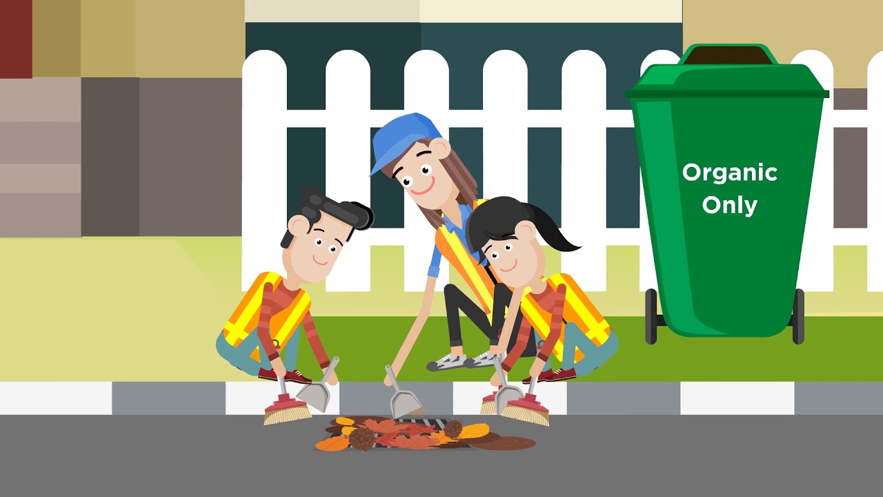Adopt a storm drain - what you need to know - YouTube