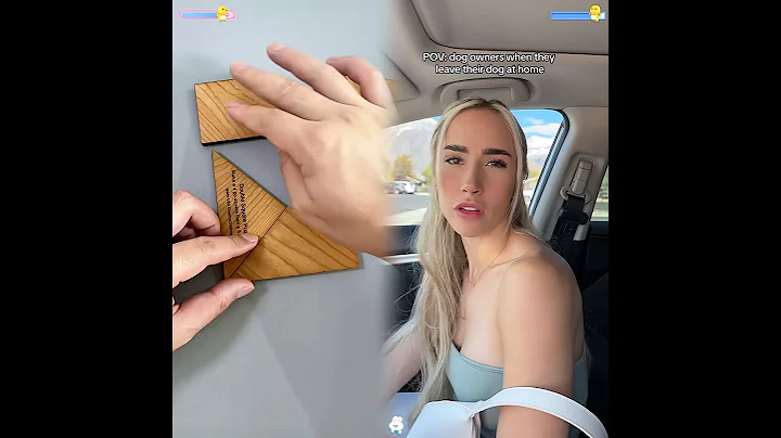 he may be home but he’s still on my mind #foryou #dogs #dogsof #dogtok #funnydog