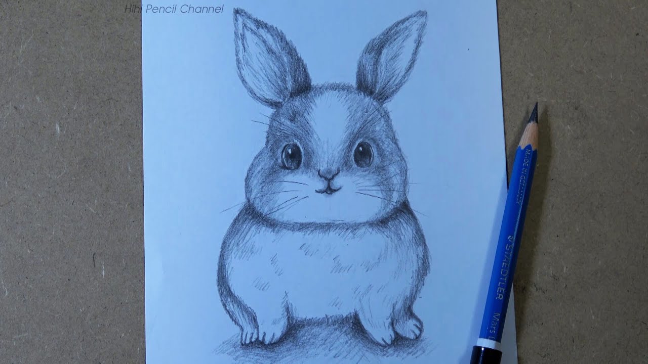 rabbit drawing using pencil step by step // how to draw a rabbit easy  drawing - YouTube