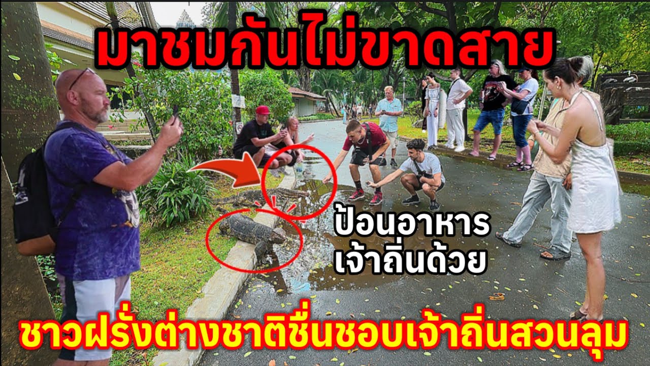 หลั่งไหลกันมาชมไม่ขาดสายทุกวี่ทุกวันต้องมีนักท่องเที่ยวชาวต่างชาติเข้ามาชมเจ้าถิ่นสวนลุม
