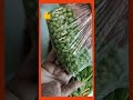 Как Хранить Зелёный Горошек на ЗИМУ how to store green peas for the winter