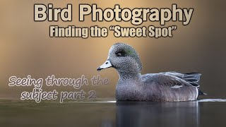 Improve Bird Photography by Focusing on the Sweet Spot
