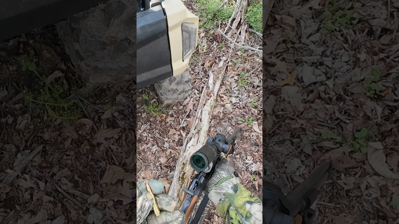 Savage model 24v-a turkey gun 